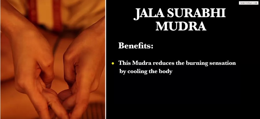 Jala_Surabhi_Mudra