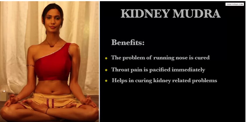 KIDNEY MUDRA