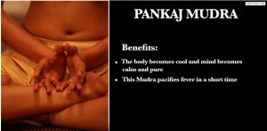 PANKAJ MUDRA