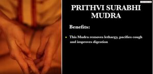 PRITHVI SURABHI MUDRA